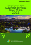 Kabupaten Soppeng Dalam Angka 2022